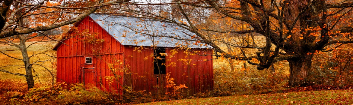 Fall Background with Red Barn